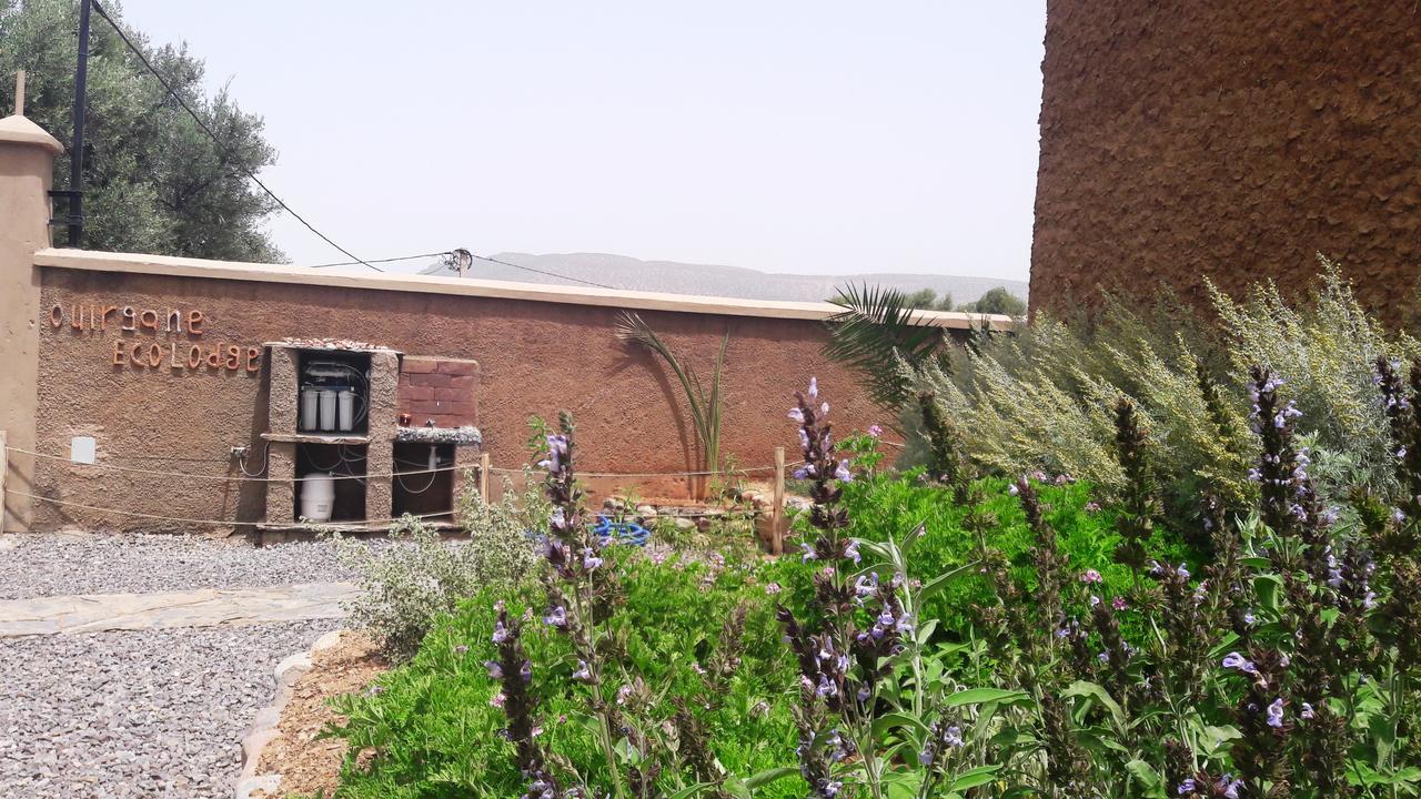 Ouirgane Ecolodge Exterior foto